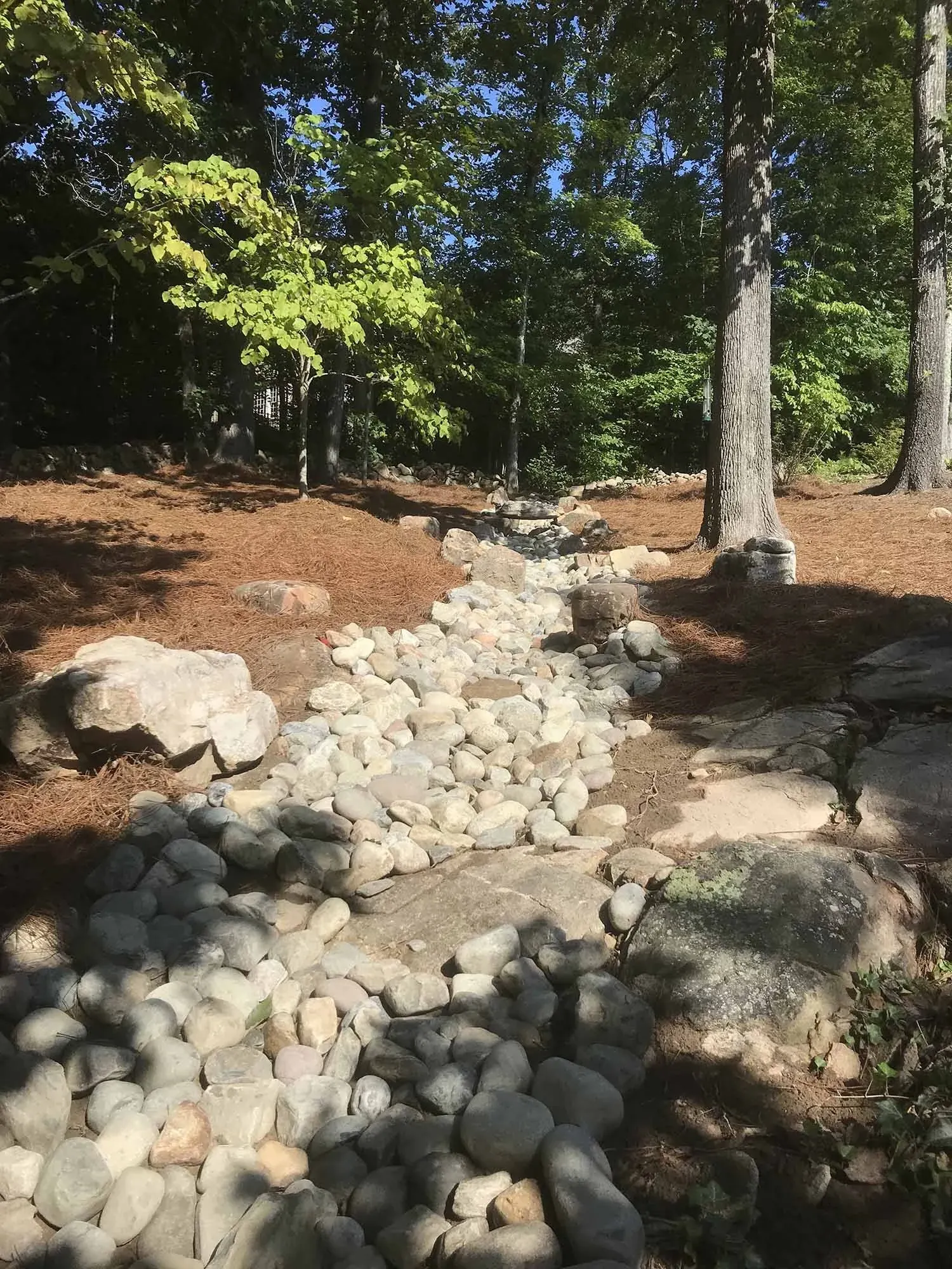 Drainage Solutions project by Edge Effect Landscapes, photo 9