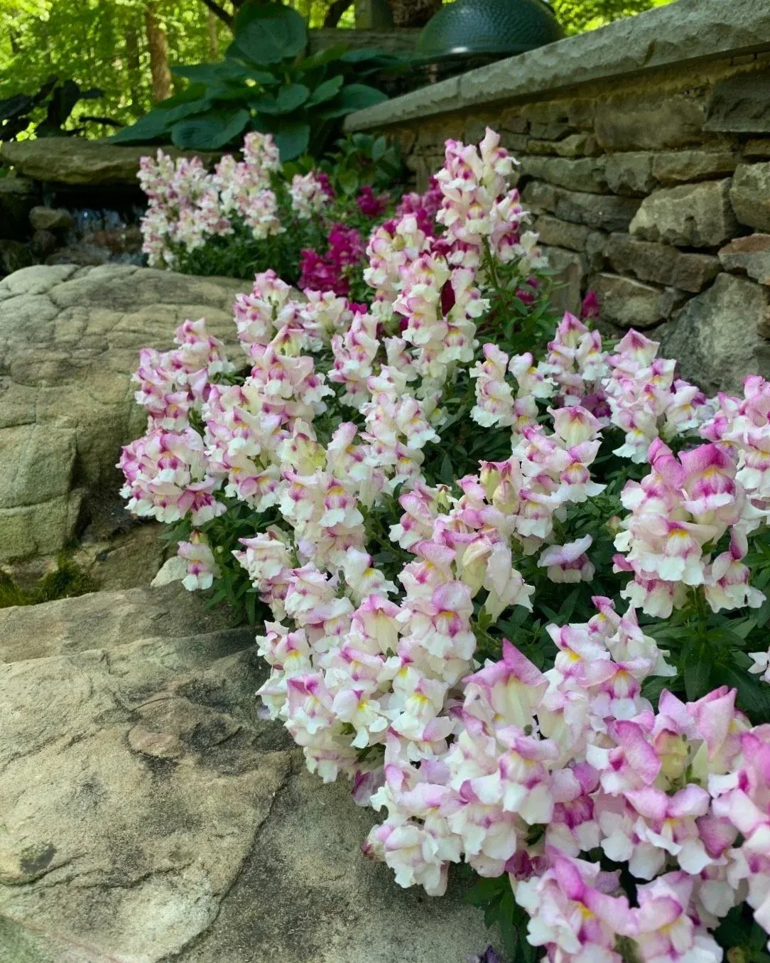 Landscape Installation project by Edge Effect Landscapes, photo 25