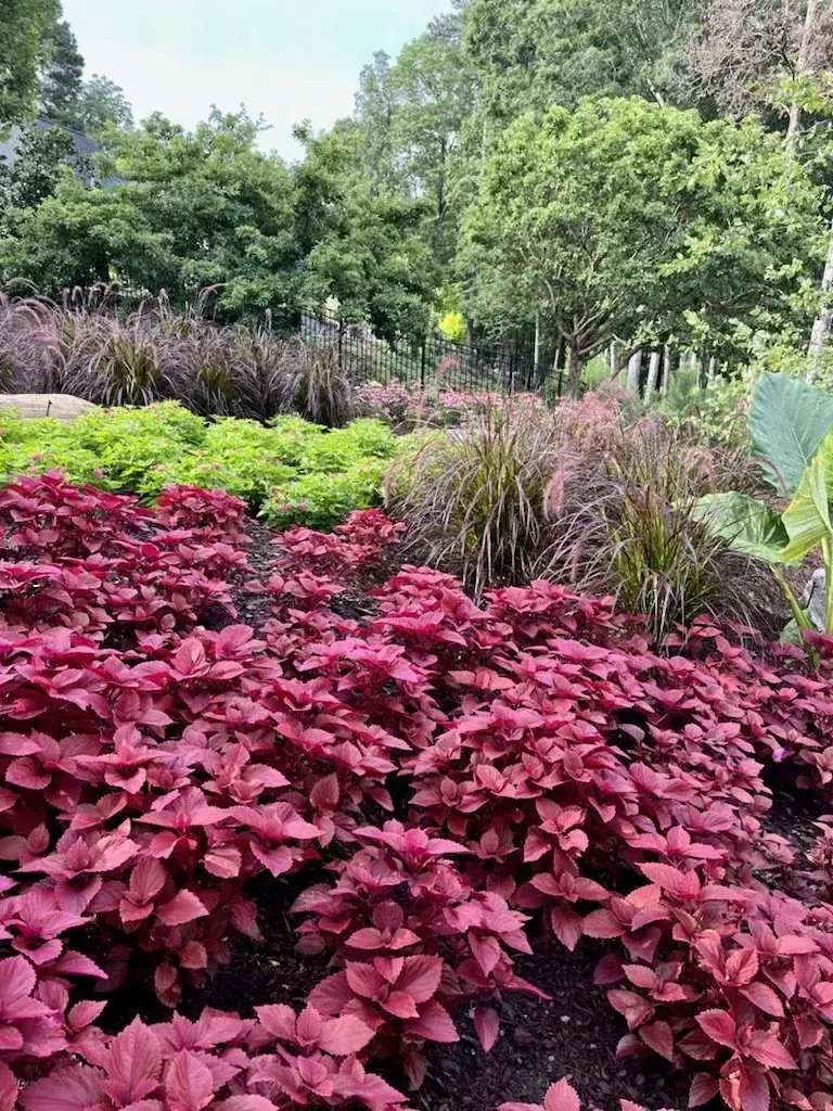 Landscape Installation project by Edge Effect Landscapes, photo 27