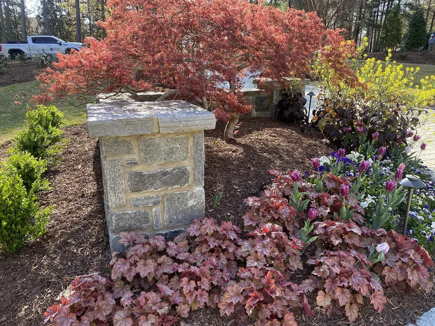 Landscape Installation project by Edge Effect Landscapes, photo 29