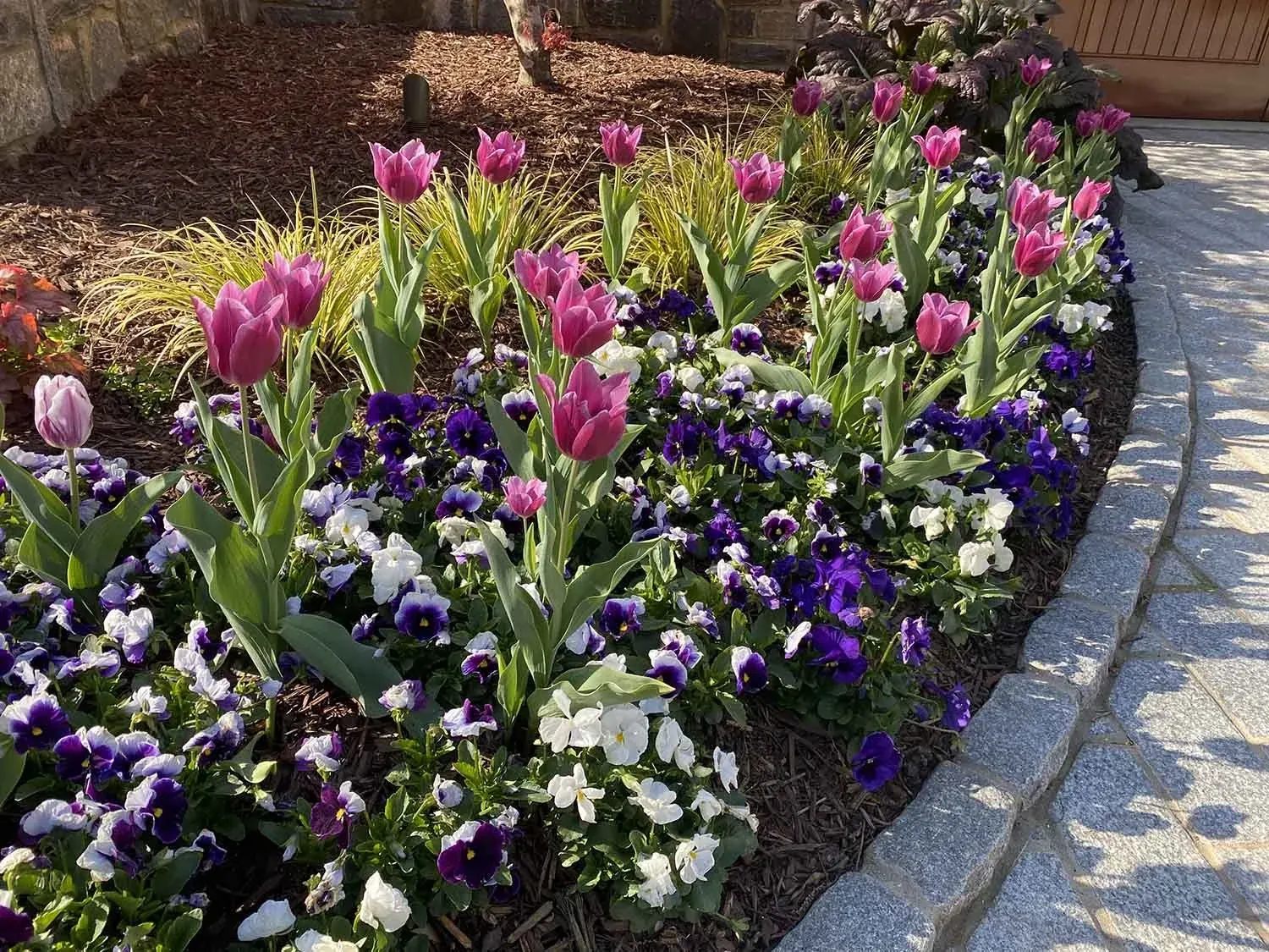 Landscape Installation project by Edge Effect Landscapes, photo 16