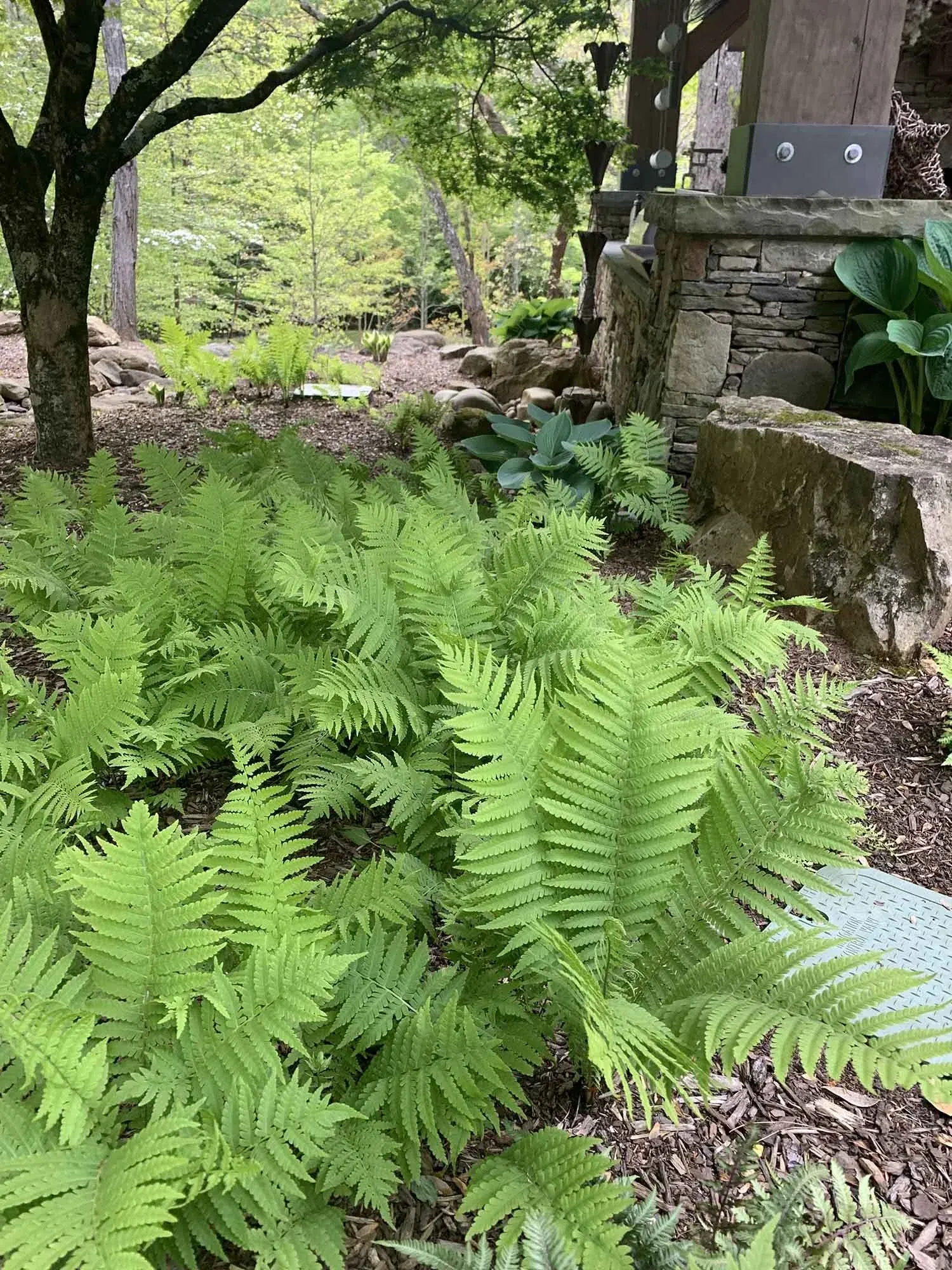 Landscape Installation project by Edge Effect Landscapes, photo 37