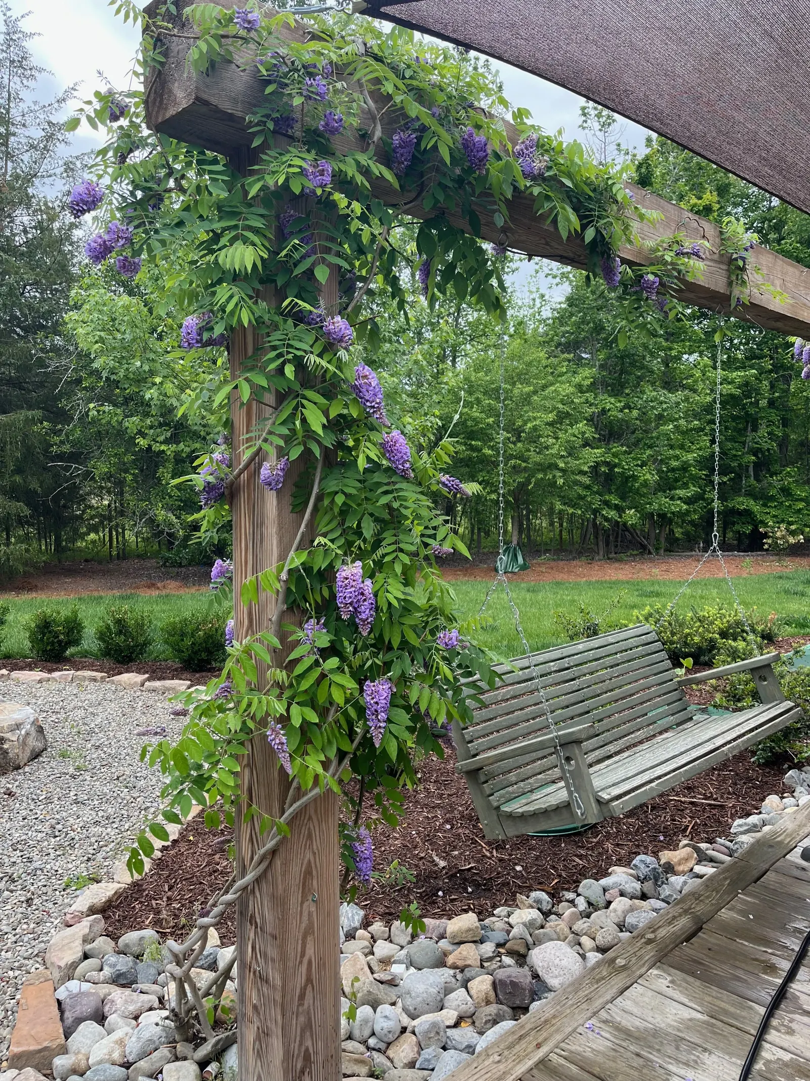 Landscape Installation project by Edge Effect Landscapes, photo 38