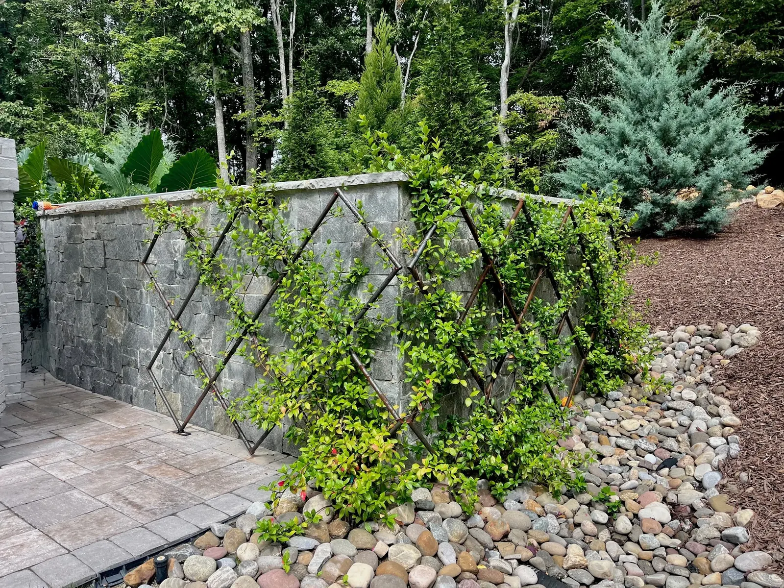 Landscape Installation project by Edge Effect Landscapes, photo 39