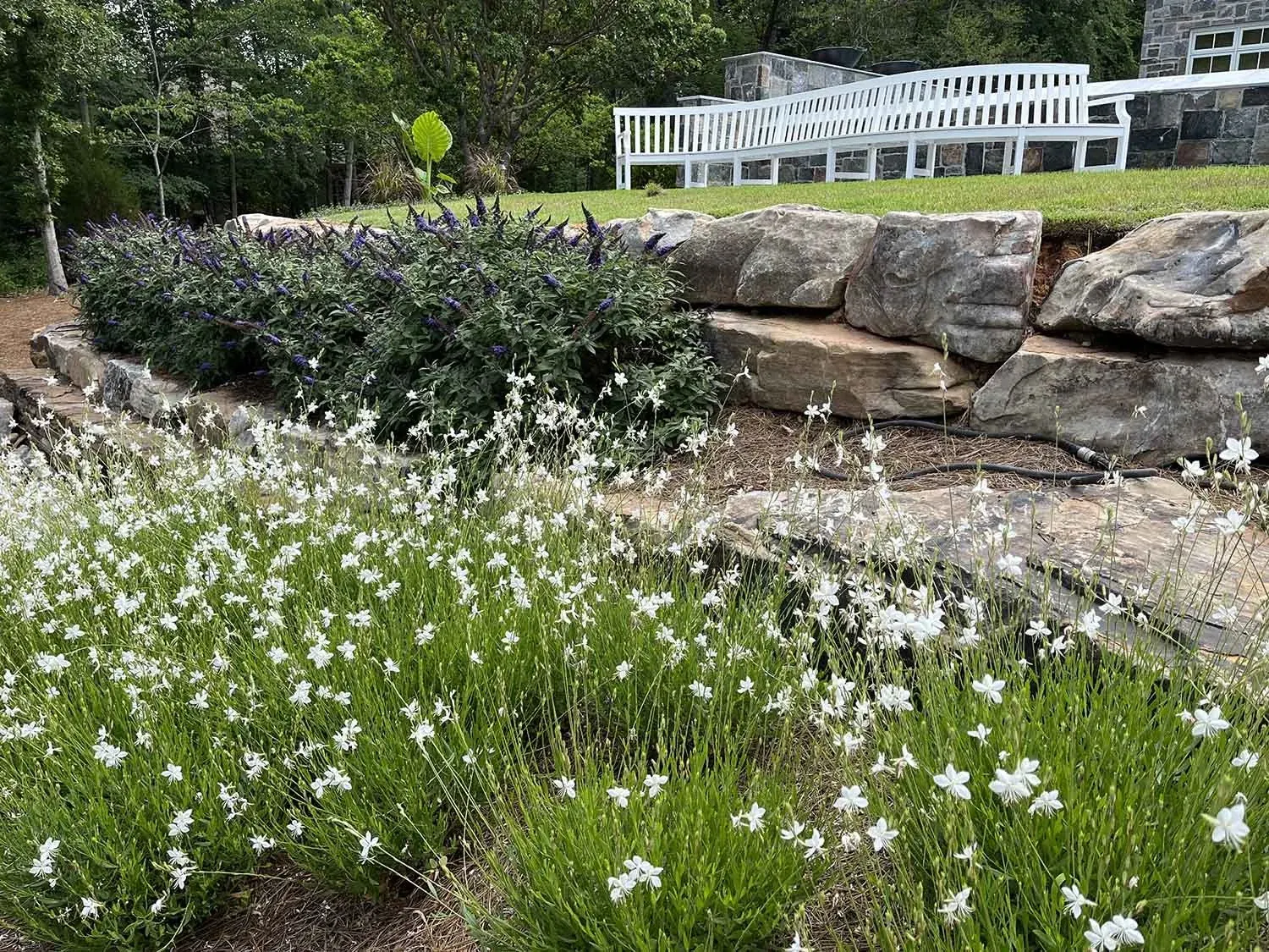 Landscape Installation project by Edge Effect Landscapes, photo 41