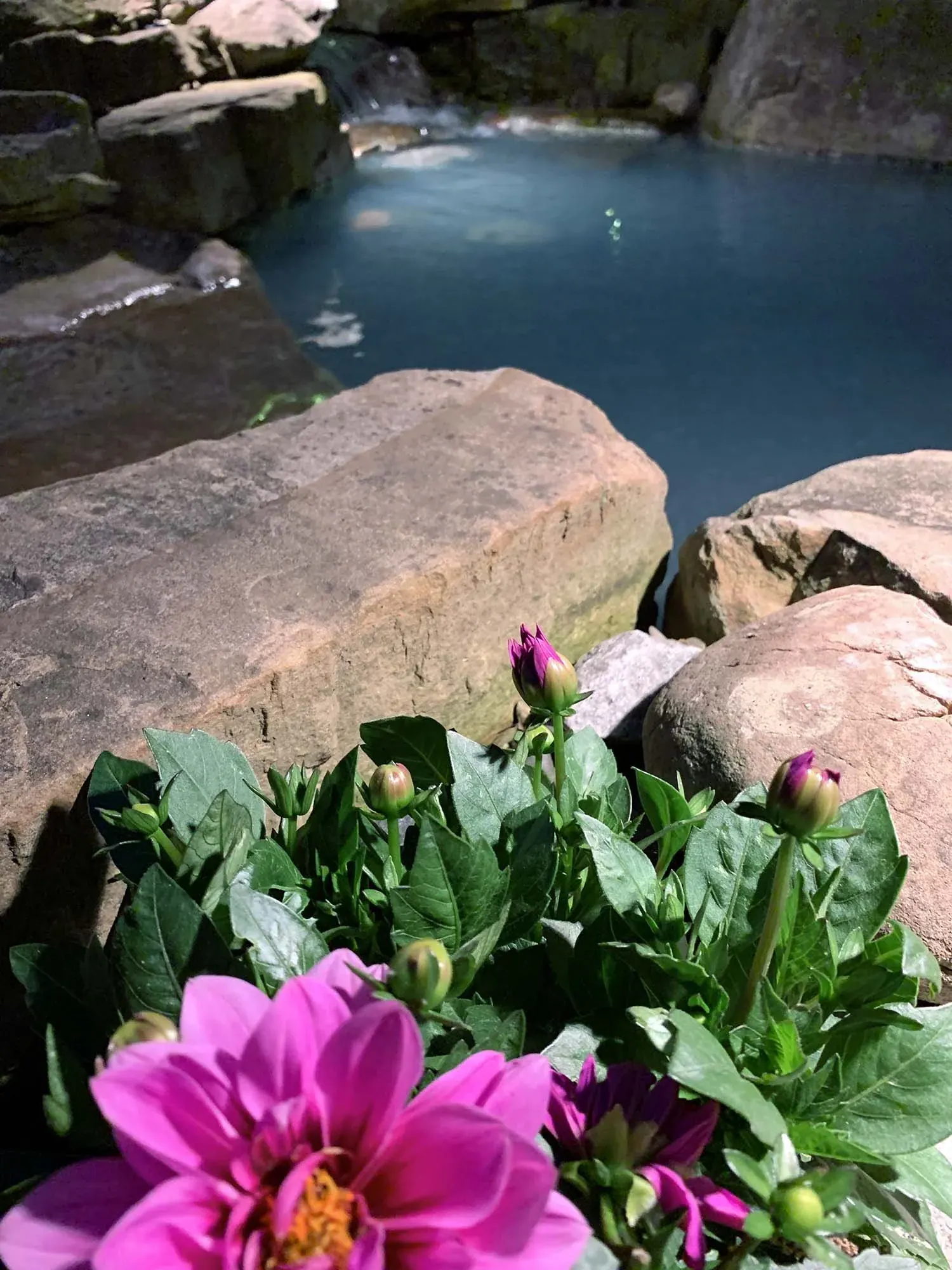 Water Features project by Edge Effect Landscapes, photo 11